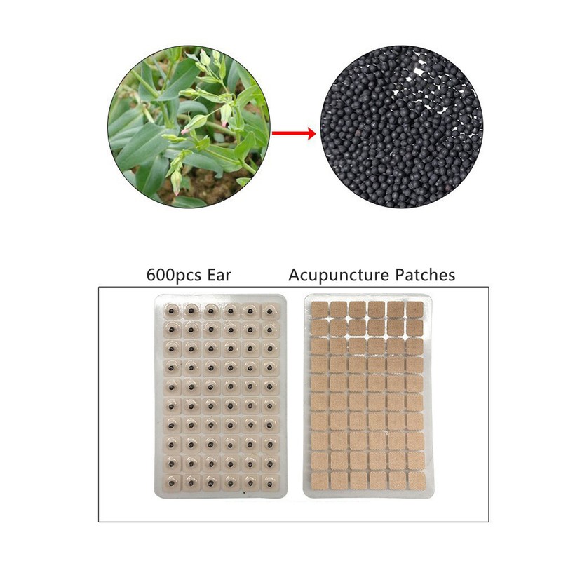 Ear Sticker Acupuncture Kit 600pcs Ear Massage Sticker Acupuncture Model