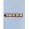 Accu-tone Acrylic Resin False Teeth Accu-Tone Posterior Lower A2/62-33M dentures box 8 pcs