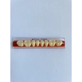 Accu-tone Acrylic Resin False Teeth Accu-Tone Posterior Lower A2/62-33M dentures box 8 pcs