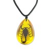 REALBUG Black Scorpion Necklace, Amber, Large