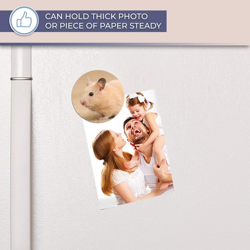 Destination Vinyl ltd Magnet for Refrigerator, Fridge - Cute Rodent