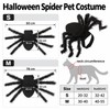 Spider Costume for Cats & Small Dogs – Black Halloween
