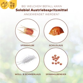 Solabiol Austriebsspritzmittel, biologisches Spritzmittel gegen überwinternde Schädlinge an Obst- und Ziergehölzen, 500 ml