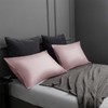 TELUS Pillow Cases Queen Size 2 Pack, Bamboo Rayon &