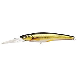 Fishing Tackle Lures Rainbow Smelt Jerkbait Deep Dive 1-8 Oz