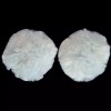 Focused Equine Ear Plugs AQHA APHA Show Legal Horse Size