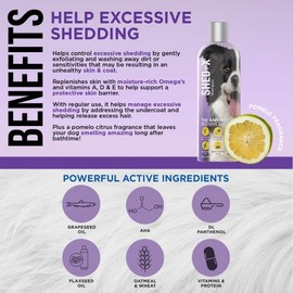 SynergyLabs Shed-X Shed Control Shampoo for Dogs; 16 fl. oz.