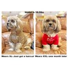 Cute Dog Clothes,Dog T Shirt for Medium Dogs.Dog Clothes for