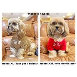 Cute Dog Clothes,Dog T Shirt for Medium Dogs.Dog Clothes for Small Dogs Girl Boy,Puppy.Breathable Soft Dog Costume Pet Dogs Cats,Pet Pullover Jumper,Cat Clothes (S-(4~8lb), Chest~14", Khaki)