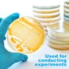 Veemoon 10pcs Agar Petri Dishes, Prepoured Petri Dishes Science Kit
