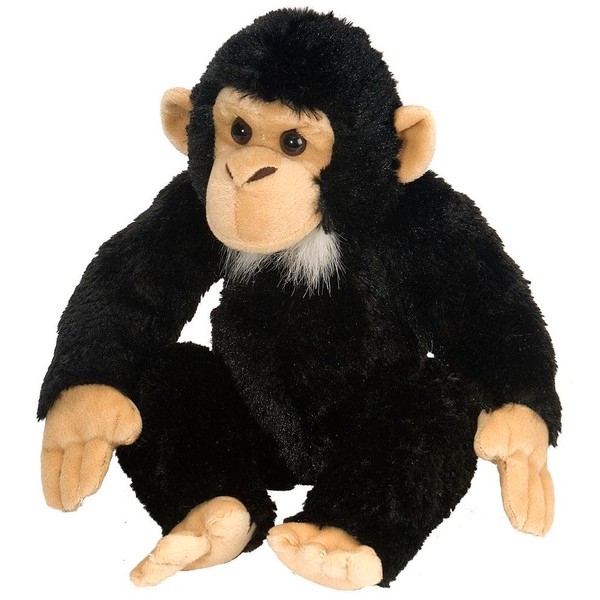 Wild Republic Chimp Stuffed Animal Plush Toy, Multi (16521), 12"