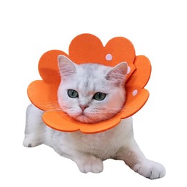 Apettogo Elizabethan Collar for Cats and Dogs, Soft, Lightweight, Waterproof, Prevents Scratching, Wound Protection, Soft, Post-Surgical Care, Orange, S