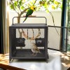Bingopaw Large Metal Flight Bird Cage Playpen Cage with Hammock
