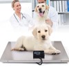 Pet Scale, 1100LBS Digital Livestock Scale Vet Scale Stainless Steel