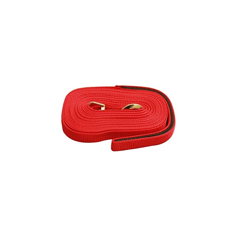 5 Metre Dog Lead Puppy Pet Training Recall Walking Harness