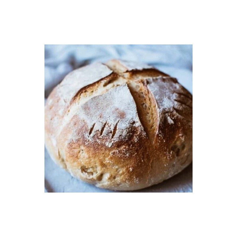 Heritage Sourdough Dehydrated Sourdough Starter Sour 125+ Yrs Old San