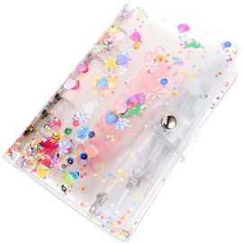 Juego de Bolsillos para Carpeta de Presupuesto A6 12 Sobres Mensuales, Material Pvc Compacto y Resistente, Adecuado para Organizar Ahorro y Dinero