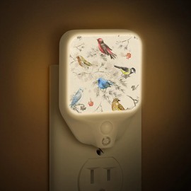 Eativisa Birds Watercolor Night Lights Plug into Wall, 1.5W Plug in LED Dimmable Motion Sensing Nightlight Auto Dusk to Dawn Sensor for Kids Adults Bedroom, Bathroom, Hallway Warm White