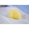 Yellow Sea Sponge Honeycomb 12.5 cm Grienchland