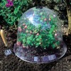 6PCS Reusable Garden Plant Cloche Plastic Dome Protective Seedling Covers