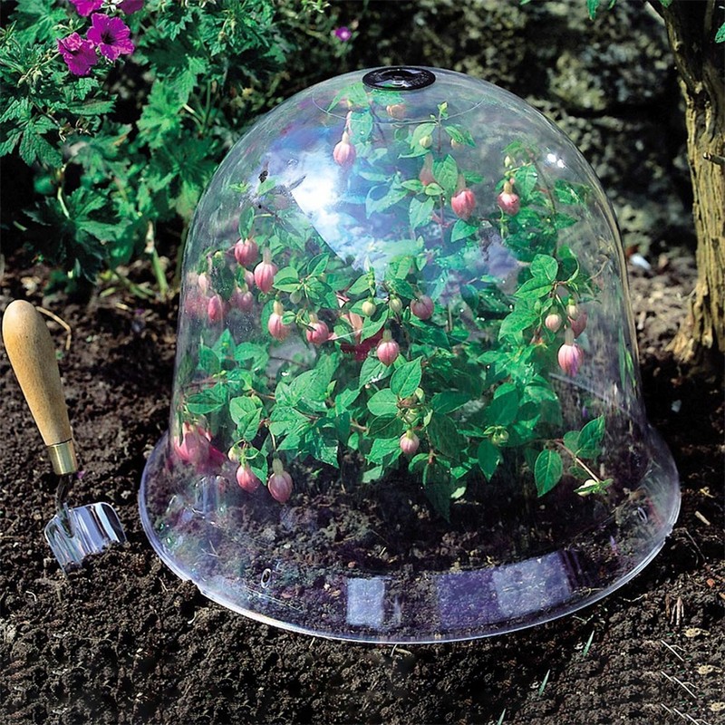 6PCS Reusable Garden Plant Cloche Plastic Dome Protective Seedling Covers