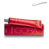 Tinte Schwarzkopf Professional Igora royal Reds tono 8-77 para cabello