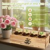 Premium Bonsai Kit,Complete Bonsai Starter Kit with Wooden Gift Box,repotting