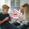 Ultrassist Mouth Model with Soft Silicone Tongue for Speech and