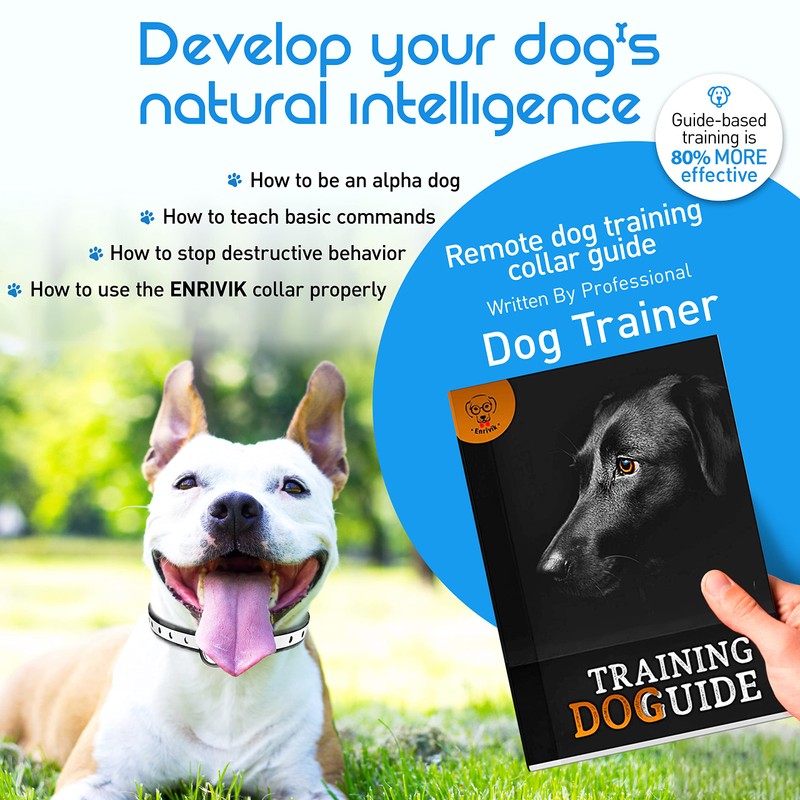 Extra Small Size Dog Training Collar with Remote for Small