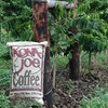 Kona Joe Gourmet Decaf Coffee Blend, Medium Roast Ground Coffee