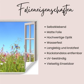 GRAZDesign Wall Sticker Window View Window Baltic Sea Beach Wall Sticker Picture Wall Sticker Living Room Bedroom 57 x 50 cm