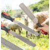 Long River Goat Hoof Trimmers with 12 Inch Hoof Rasp