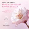 Bálsamo En Barra Para Talones Laikou Sakura 40g Sakura