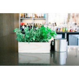 CBT Wooden Planter Box, Rose Wood w/Plastic Liner (12" x 4" Set of 4)