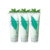 Elizabeth Arden Green Tea Body Lotion Trio Set / 엘리자베스아덴 그린티 바디로션 트리오세트