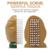 Joie Spud Dude Potato Brush, Vegetable and Fruit Scrubber, Produce