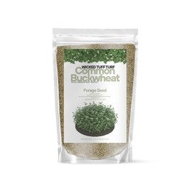 Old Cobblers Farm™ Wicked Tuff Turf Common Buckwheat - Fast-Growing, Soil-Improving Cover Crop and Pollinator-Friendly Plant for Healthy, Productive Gardens and Fields (5lbs|10lbs|15lbs|20lbs) (10lbs)