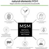 MSM capsules – comparison winner 2018* – 365 vegan capsules