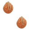 minkissy 2pcs Face Body Cleansing Sponge Bath Shower Exfoliator for
