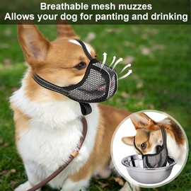 SIVZUMO Muzzle Medium Small Dogs, Prevent Eating, Chewing, Biting Dog Muzzle, Breathable, Reflective, Adjustable Muzzle for Medium Dogs, Black-M
