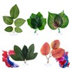 CllyCnny Betta Fish Plant Hammock - Aquarium Floating Leaf Decor