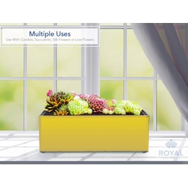 Royal Imports Flower Glass Vase Decorative Centerpiece for Home or Wedding Oblong Rectangle Shape (12" (4x4), Mirror Gold)