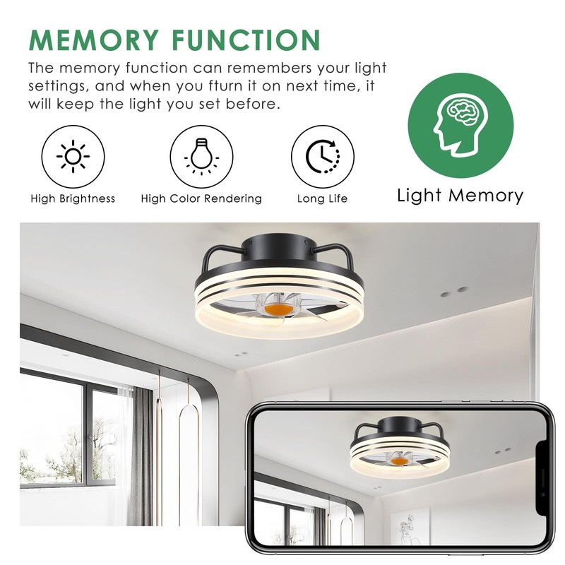 Mpayel Ceiling Fans with Lights and Remote - Flush Mount
