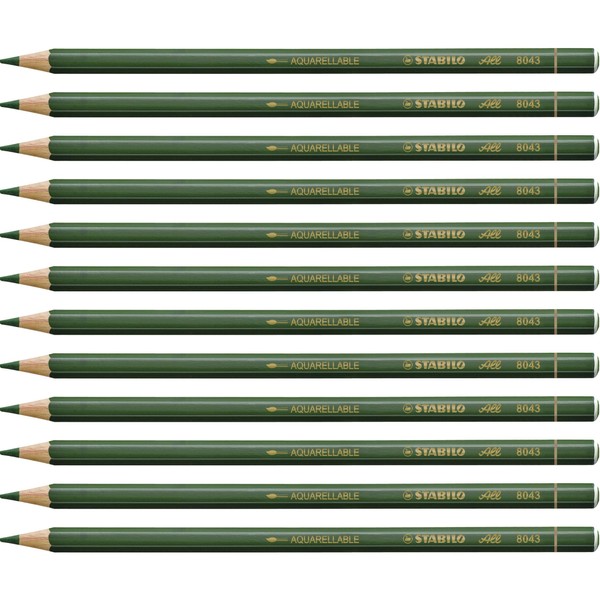 Stabilo 8043 All Coloured Pencil Crayons for Almost All Surfaces, 3.3 mm, green, Pack of 12