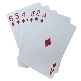 VISIONU Braille Playing Cards for Blind Players