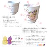 Arita Ware Teacup Couples Couples Tea Cup Flower Rokugourt Noshi
