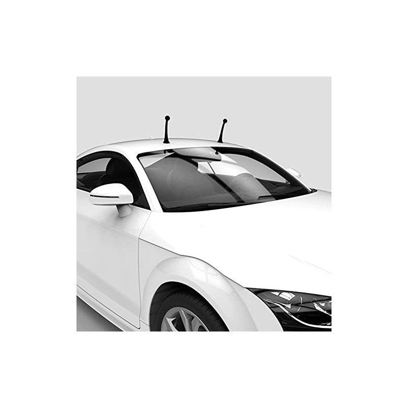 TukboTech Car Roof Decoration for Car Top Self Adhesive Creative