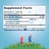 Resveratrol 1000 Mg Balincer 120 Cápsulas
