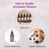 Aromatics International Myrrh Hydrosol 100ml | Resinous Aromatic Spray for