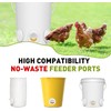 24 Pcs Chicken Feeder Kit and 24 Pcs Chicken Water
